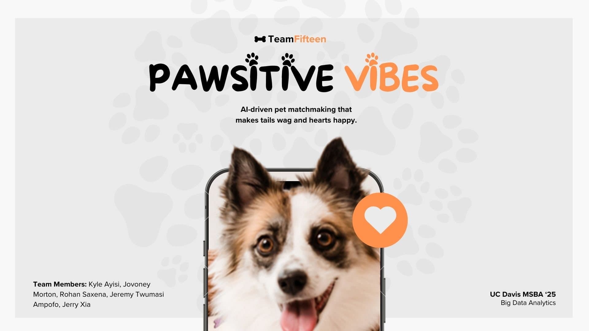 Pet-Adopter Match Recommender interface
